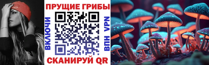 Купить закладки  Жуков  Галлюциногенные грибы GOLDEN TEACHER 